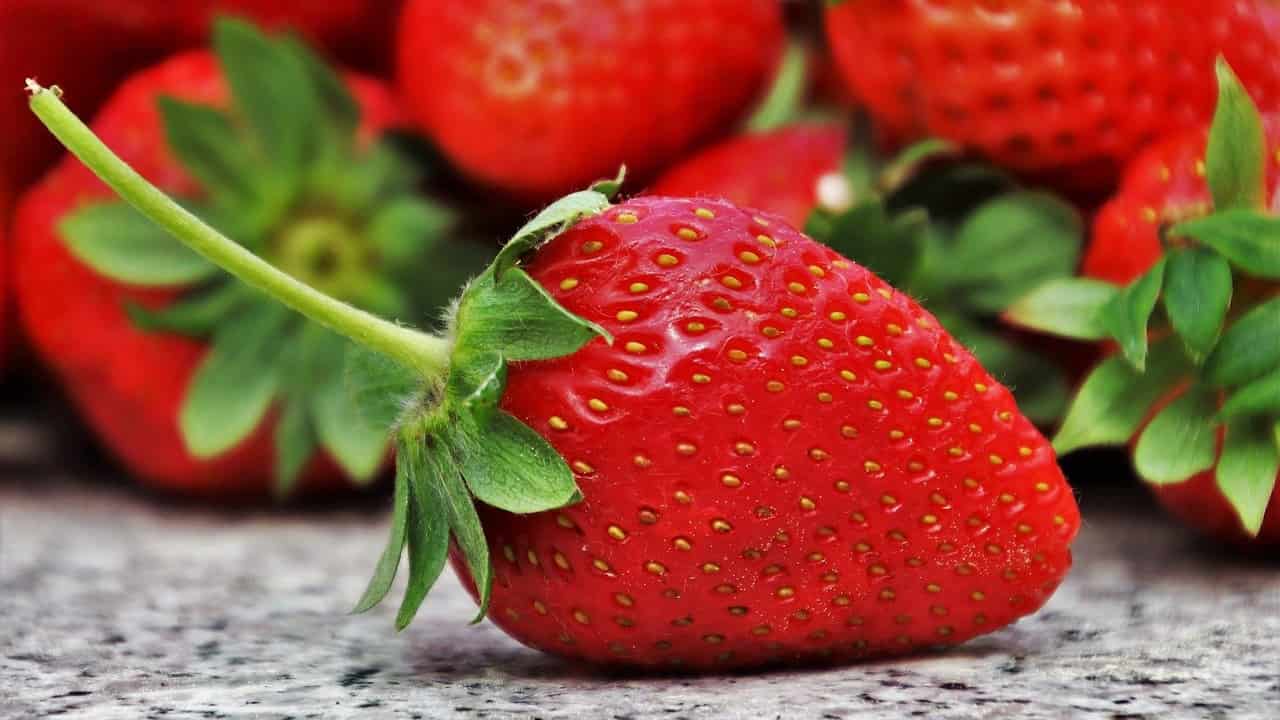 fragole tipologie