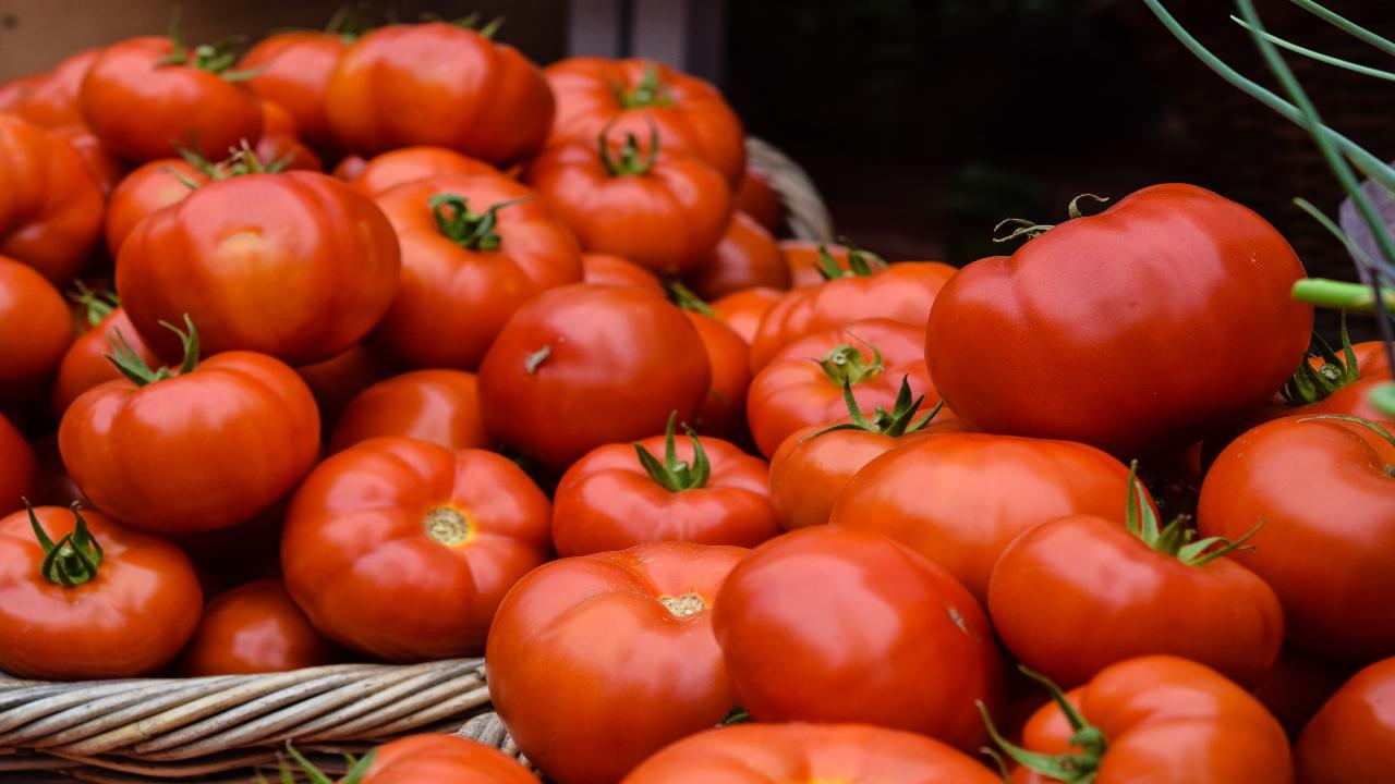 pomodori in frigo