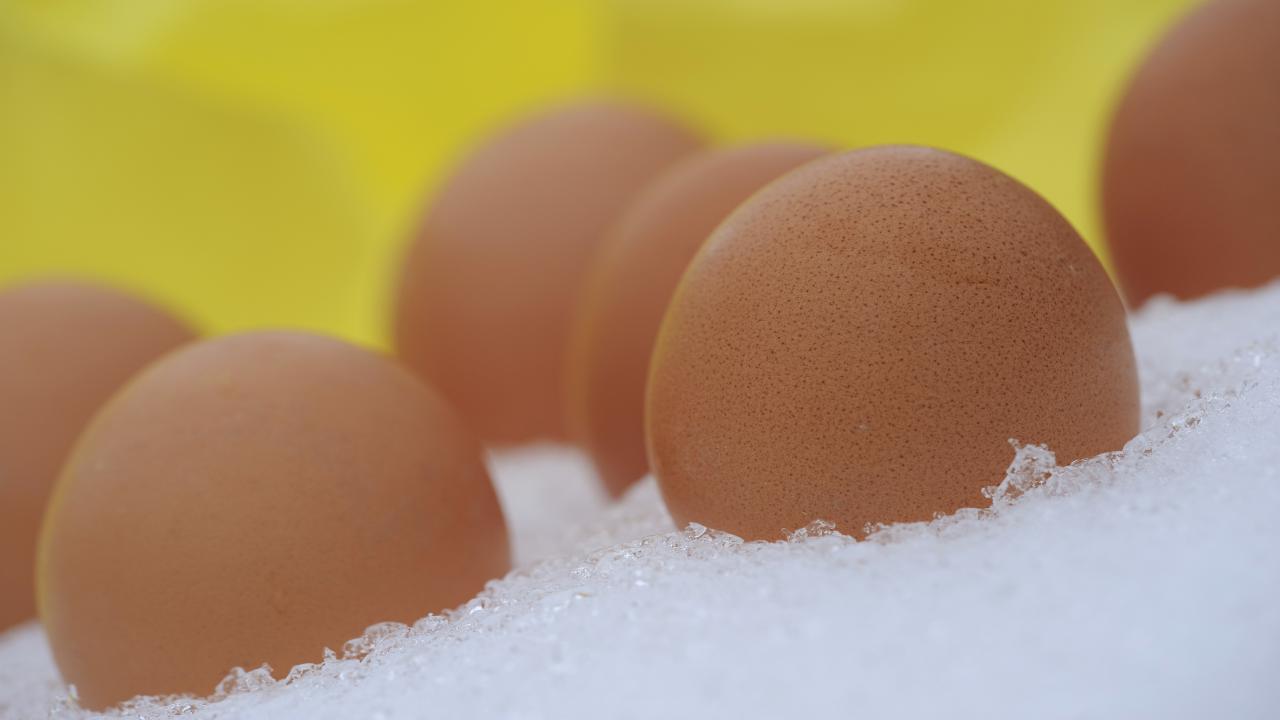 Come conservare le uova