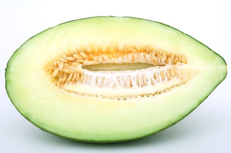 Melone: proprietà, benefici e calorie