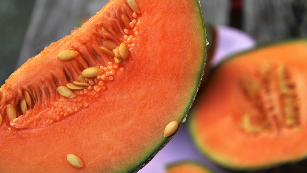 Melone: proprietà, benefici e calorie