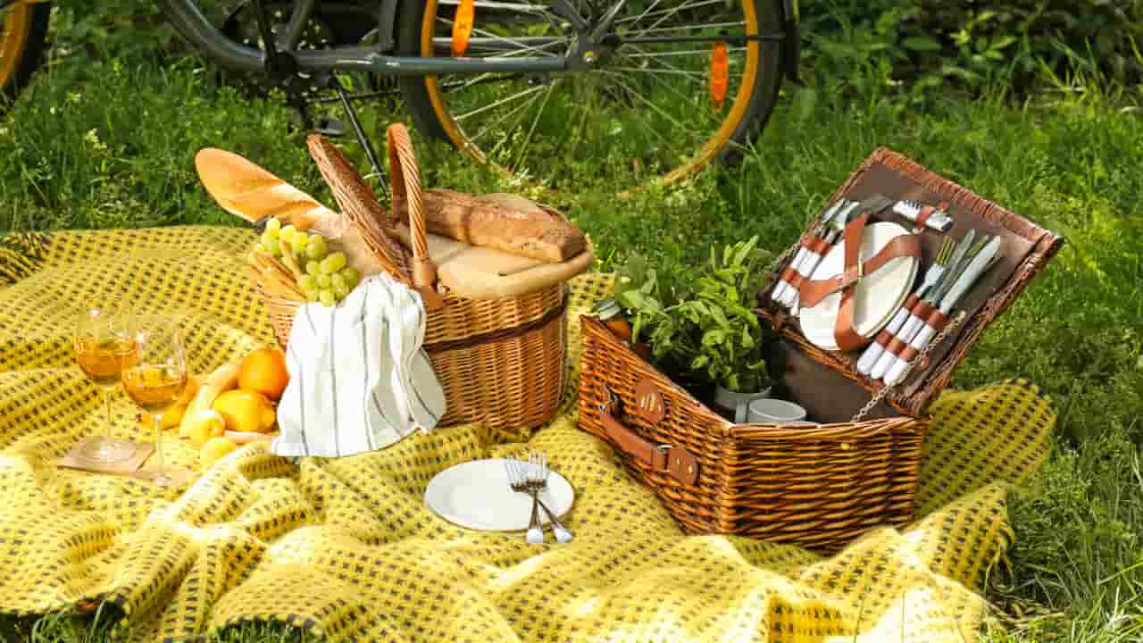 organizzare picnic ideale