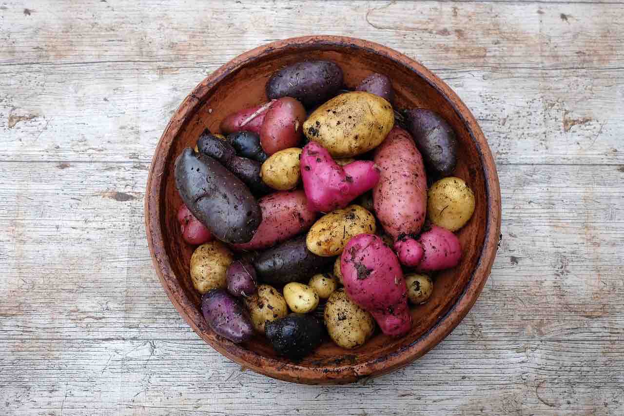 Patate: tipi diversi