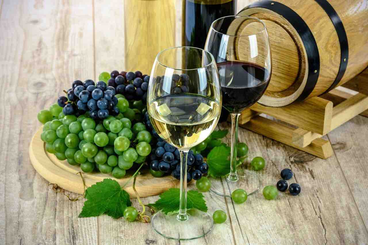 Vino: benefici e differenze tra bianco e rosso