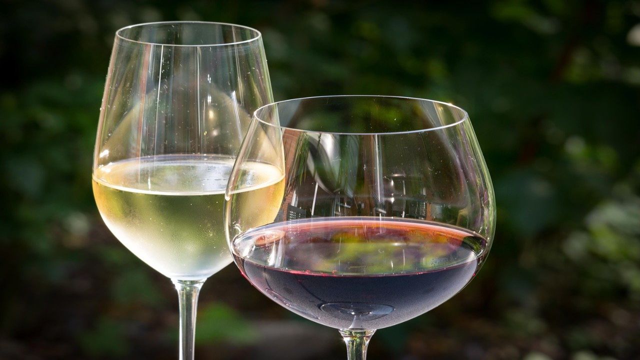 Vino rosso o vino bianco: quale dei due ubriaca di più? La risposta della scienza