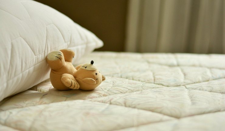 Acari della polvere: cosa sono