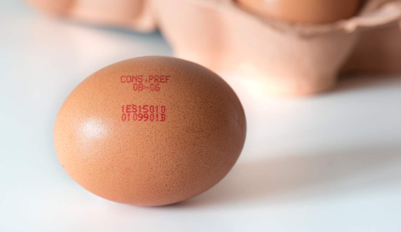 Come leggere il codice delle uova