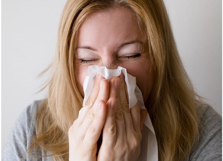 allergia polvere