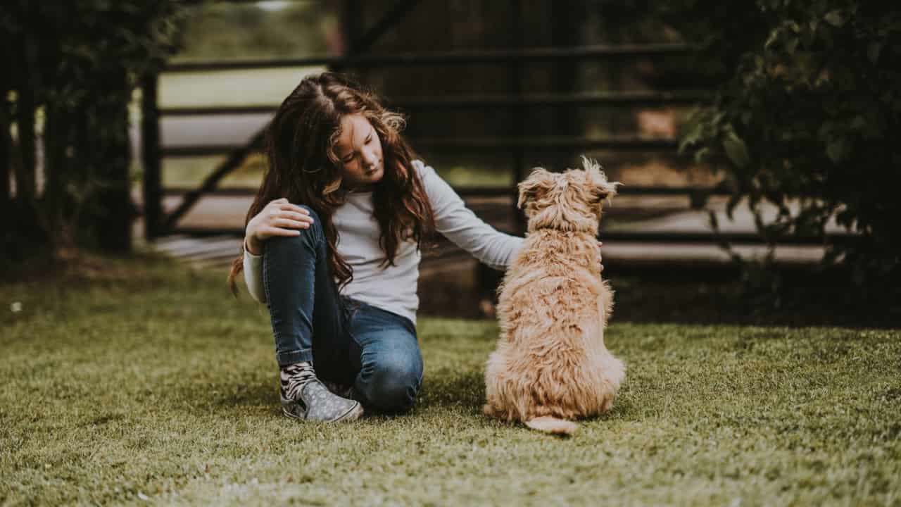 cane famiglia educare bambini