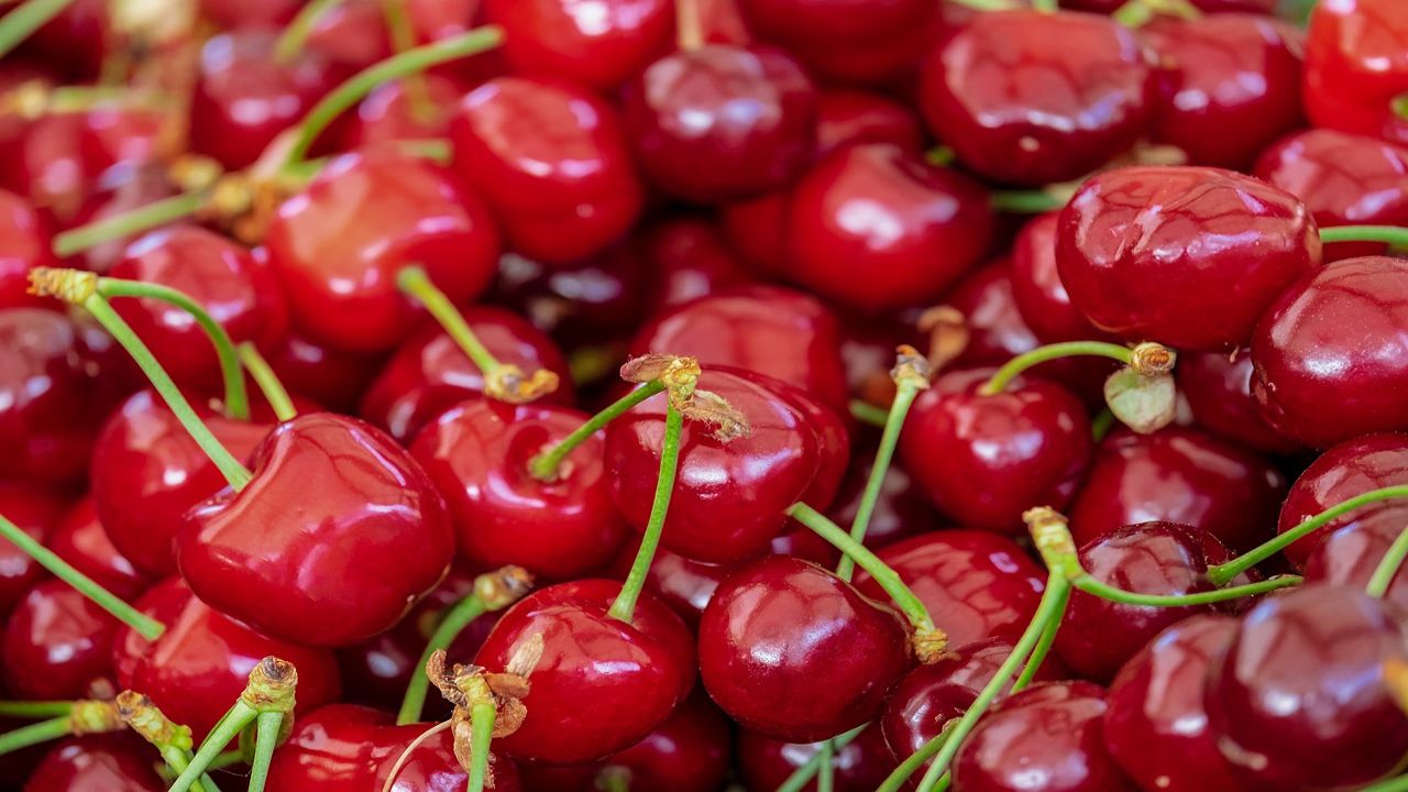 Frutti rossi: ecco perchè sono alleati della nostra salute