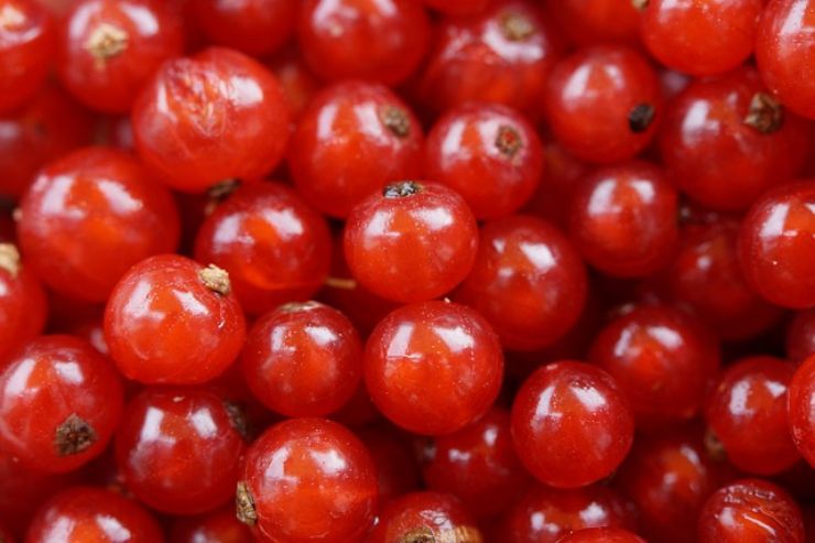 Frutti rossi: ecco perchè sono alleati della nostra salute