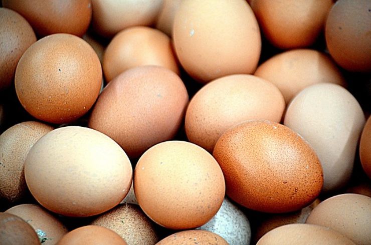 Uova fanno male? Ecco la verità su questo alimento