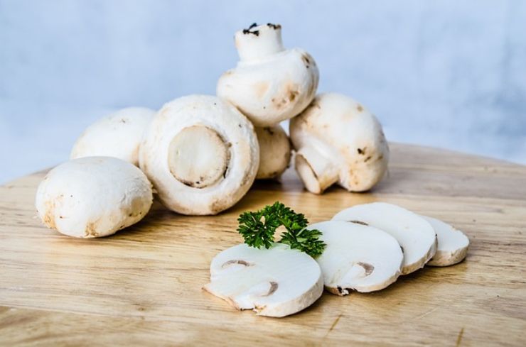 Funghi Champignon andati a male? Ecco come capirlo