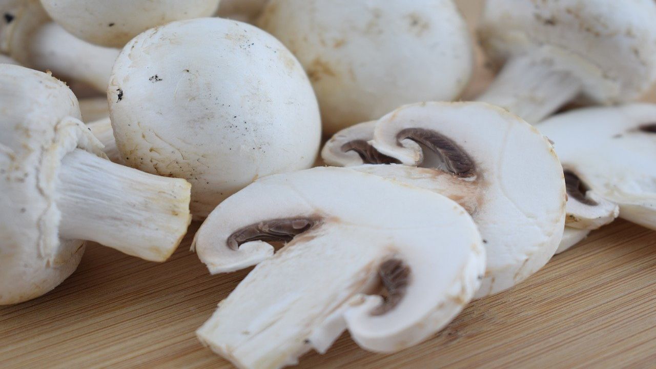 Funghi Champignon andati a male? Ecco come capirlo