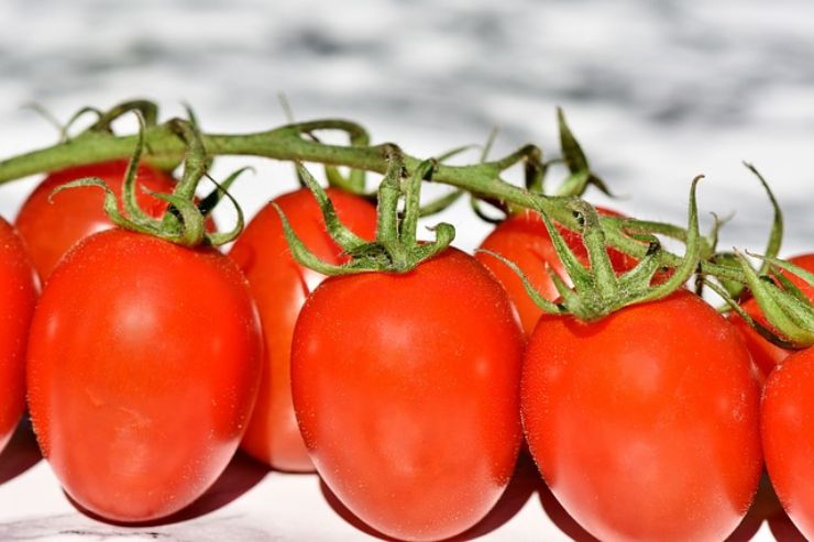 Pomodori: le proprietà e i benefici sull'organismo