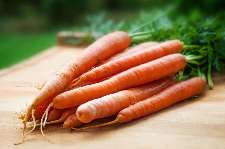 Proprietà delle carote