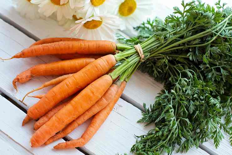 Proprietà delle carote