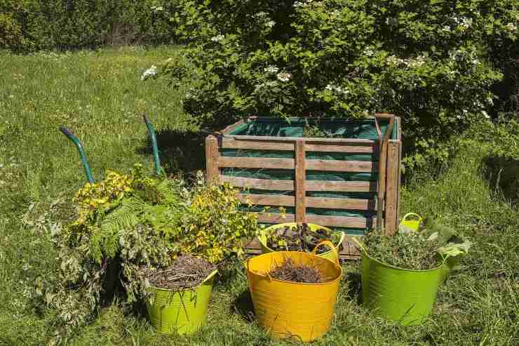 Compost fatto in casa