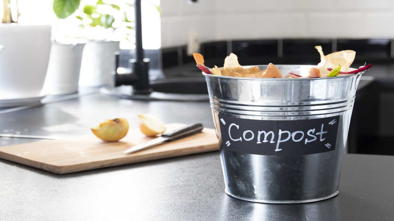 Compost fatto in casa