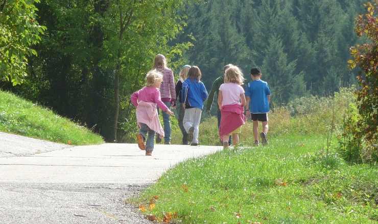 Gita nel bosco, punture di vespa