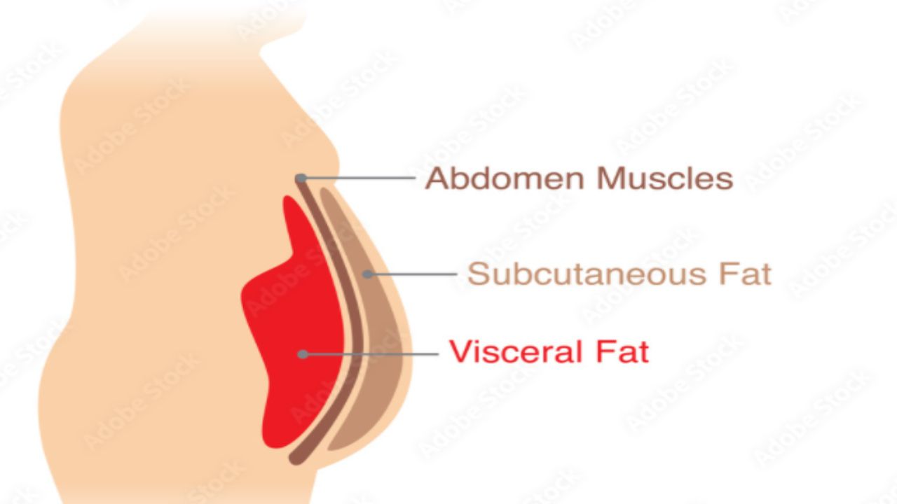 Grasso viscerale: cos'è e quali rimedi naturali sono più efficaci