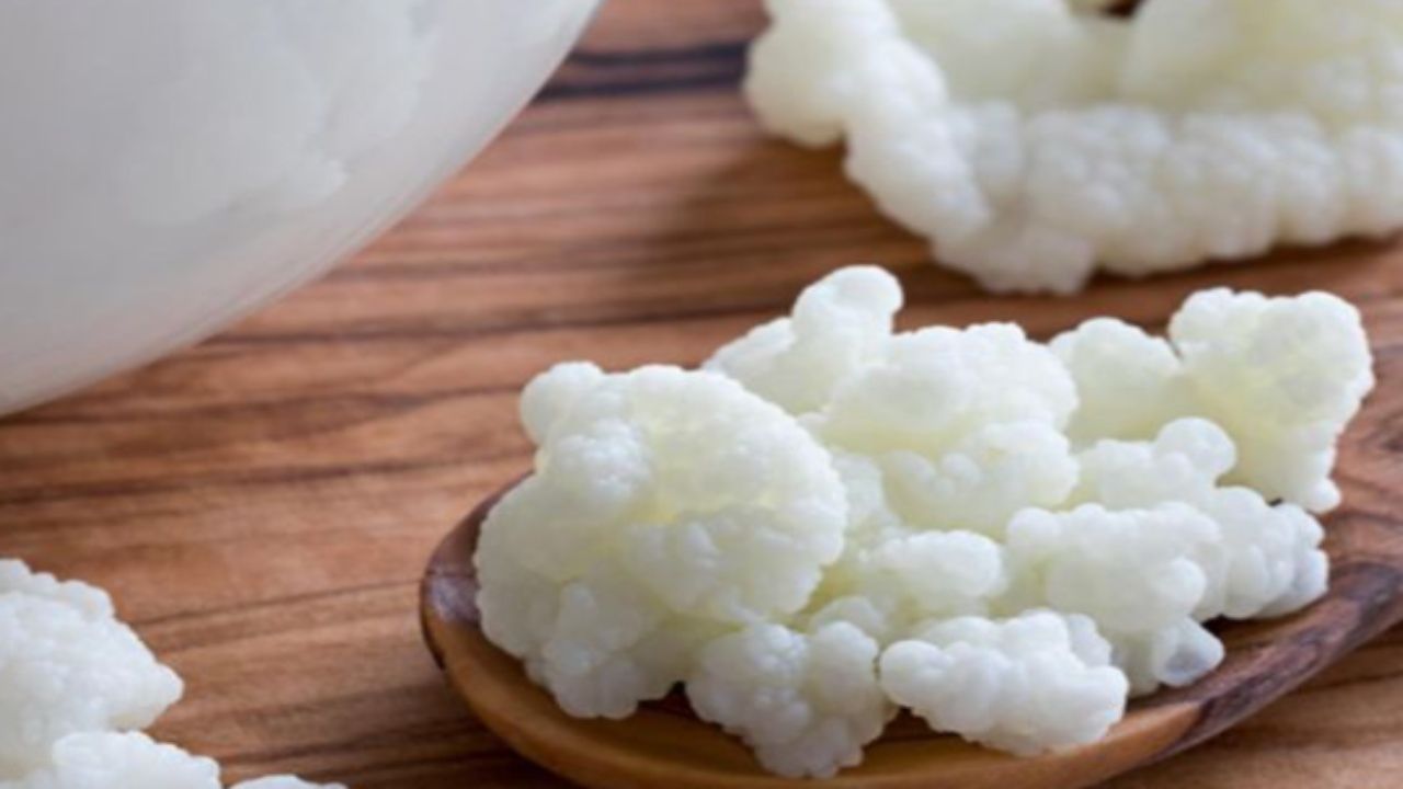 Kefir: cos'è, quali sono i benefici e come si prepara