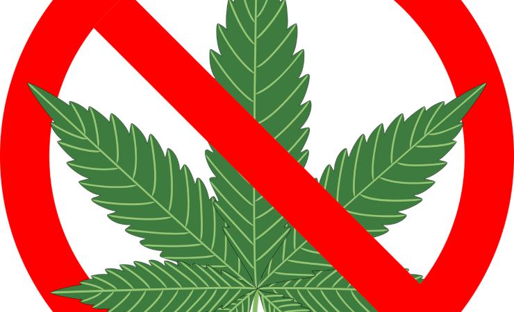 No cannabis, fumare gli spinelli