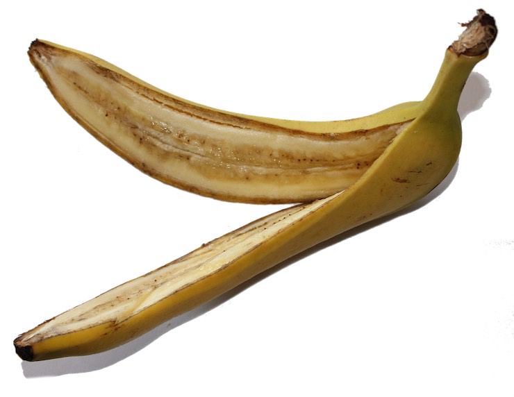 SEMI BANANA PIANTA