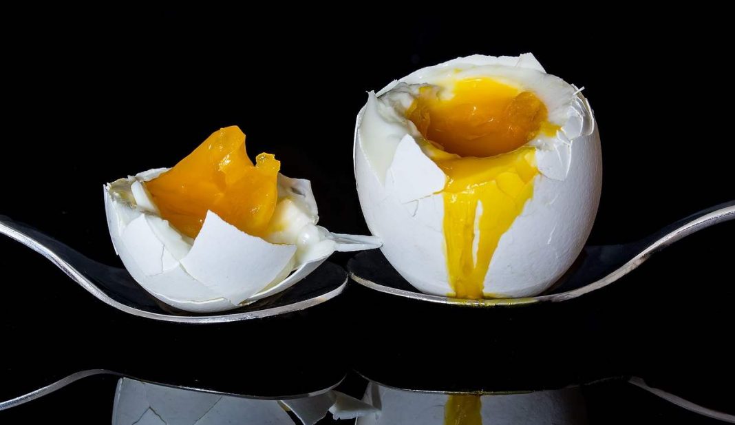 Preparare un uovo alla coque la ricetta per farlo buonissimo