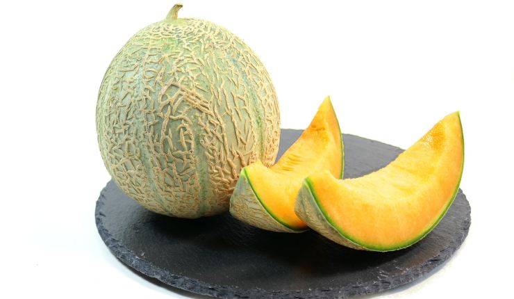 Varietà di melone