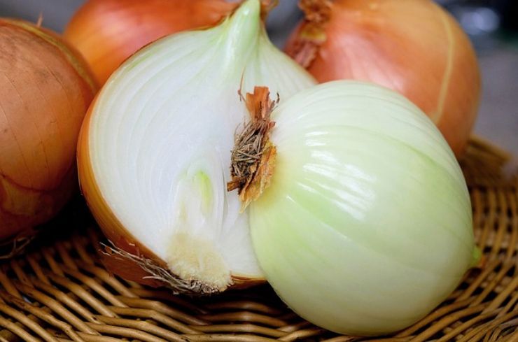 Punture di tafano: come alleviare i sintomi grazie a 3 rimedi naturali