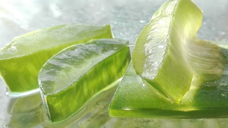 Aloe vera per combattere disturbi legati al caldo: ecco quali