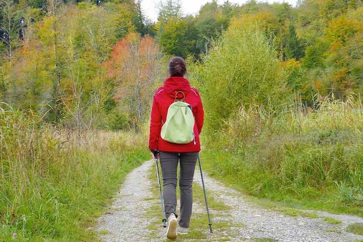 donna passeggia in foresta