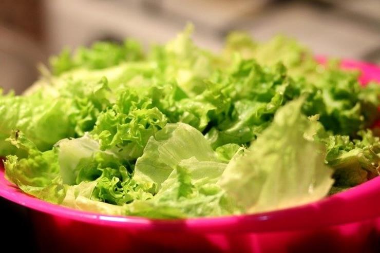 Insalata: ecco qual è il momento del giorno ideale per consumarla