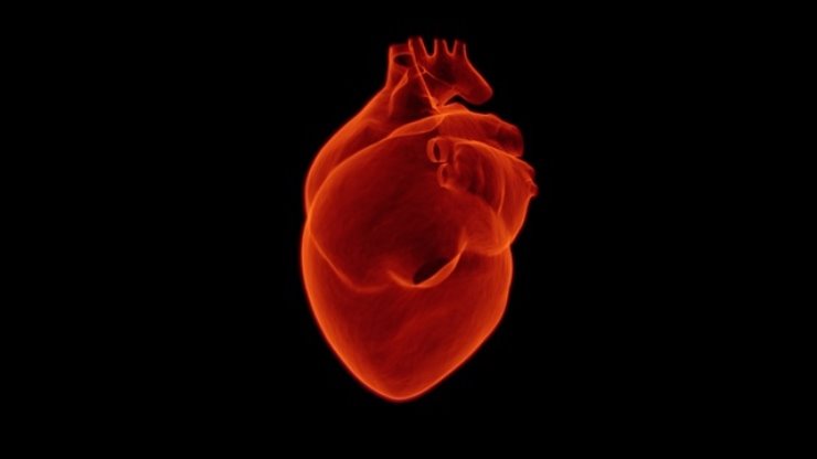 Infarto del miocardio: quali sono i sintomi e come prevenirlo