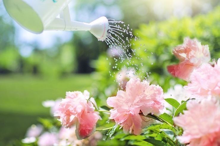 Giardinaggio: il kit di attrezzi che non può mancare