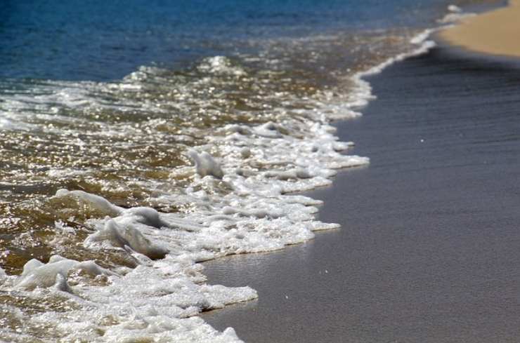 Pulci di mare: cosa sono e cosa fare in caso di puntura