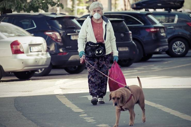 Gli animali domestici possono contrarre il covid? La risposta degli esperti