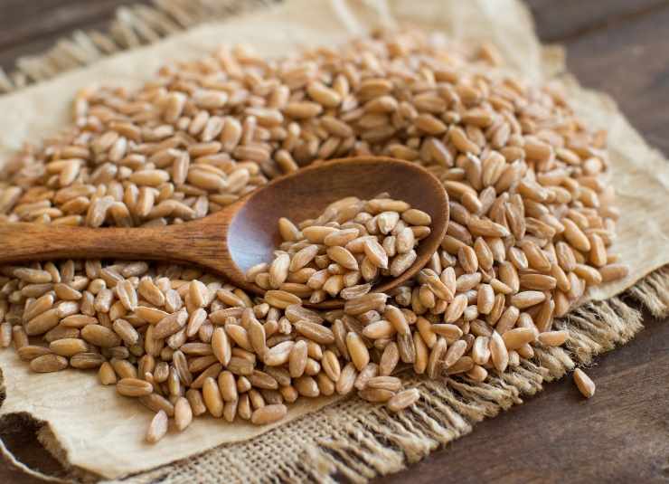 Incredibile come un cereale possa fare così bene all'organismo, ecco di quale alimento pariamo