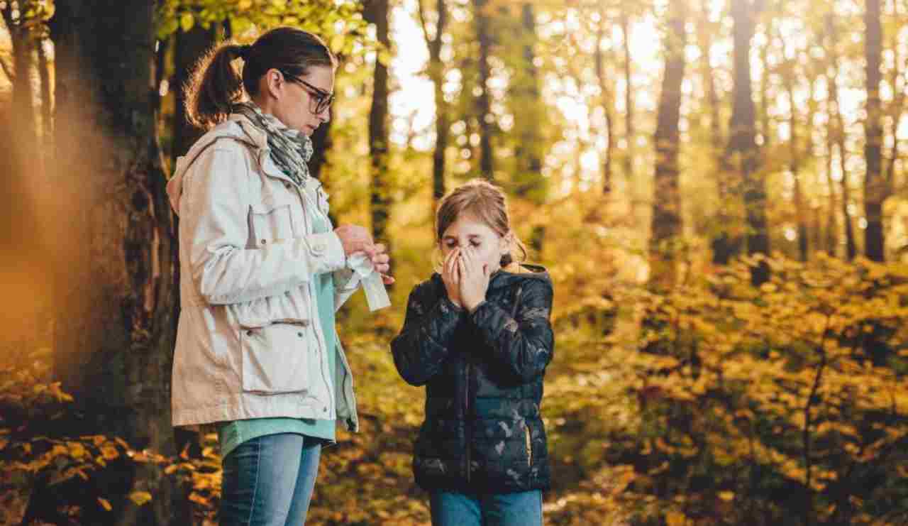 Autunno, tornano anche le allergie: quali sono e come combatterle