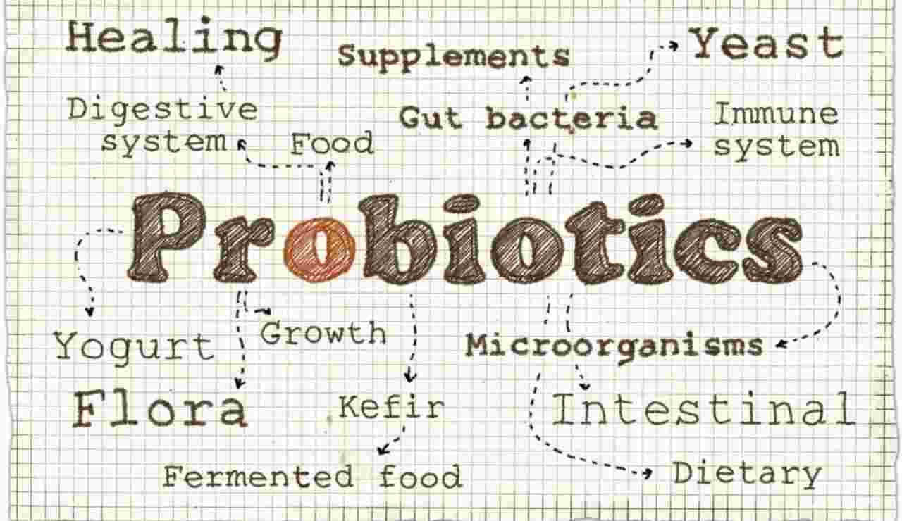 Probiotici prebiotici