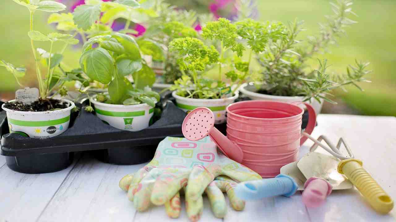 Come avere giardini stupendi in autunno grazie a queste tecniche