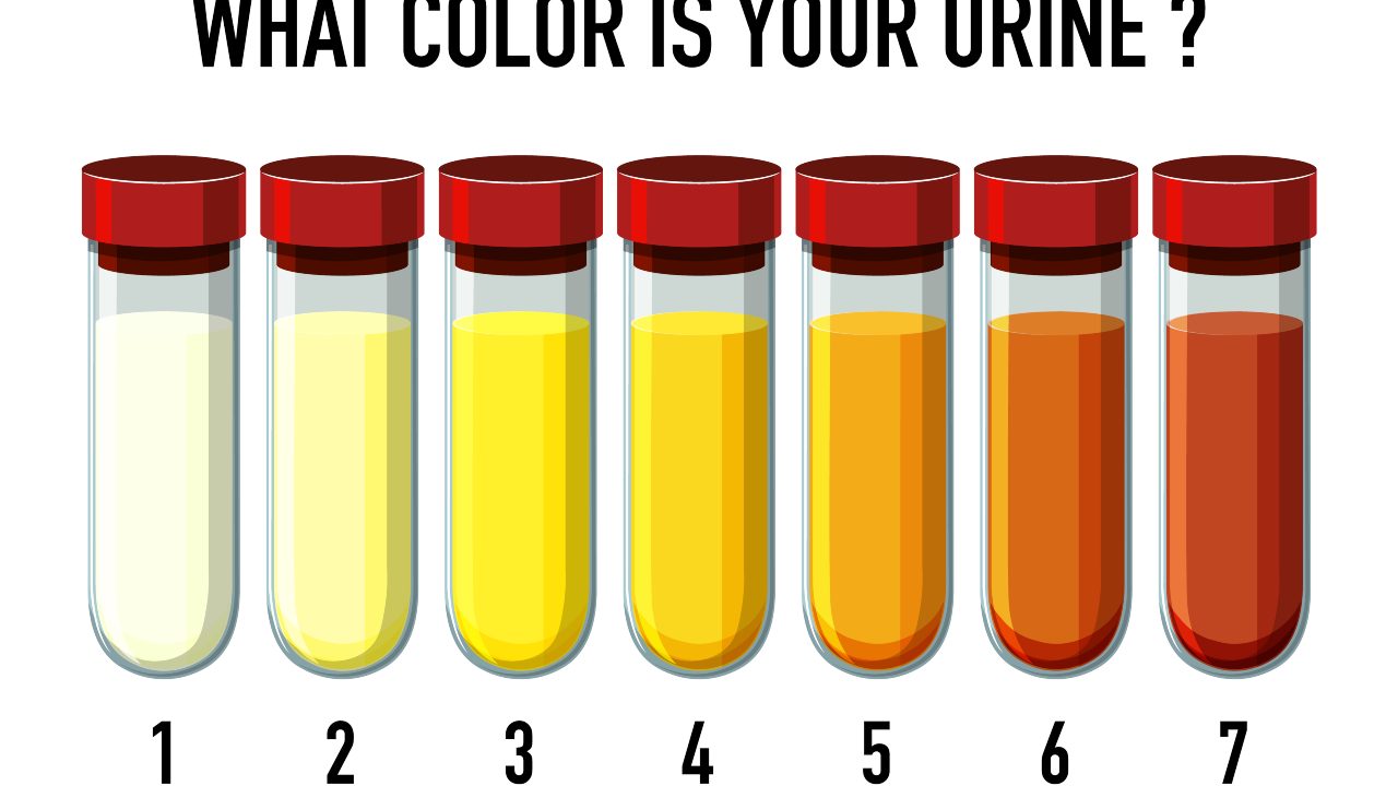 urine