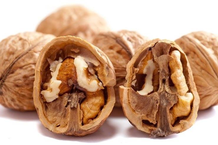Mangiare una manciata di noci ogni giorno è un modo semplice per promuovere la salute cardiovascolare. Molte persone sono preoccupate per l’aumento di peso indesiderato quando includono noci nella loro dieta – ha detto Ros. Il nostro studio ha scoperto che i grassi sani nelle noci non hanno indotto i partecipanti ad aumentare di peso.