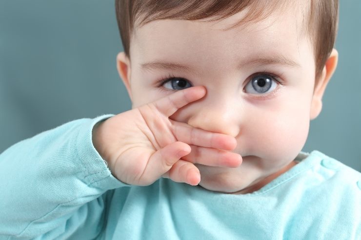 Mangiare le caccole rafforza il sistema immunitario, parlano gli esperti