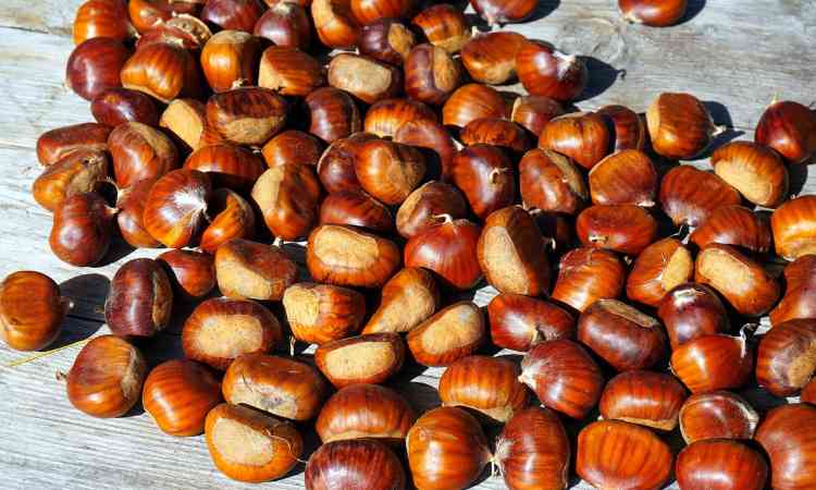 castagne