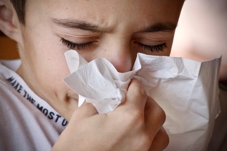 Mangiare le caccole rafforza il sistema immunitario, parlano gli esperti