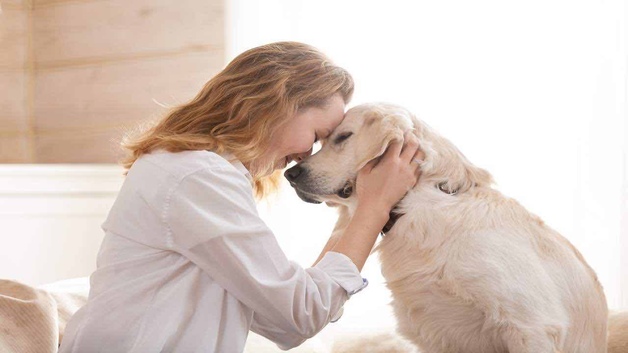 motivi prendere un cane