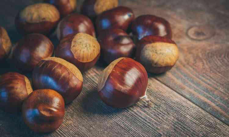 castagne