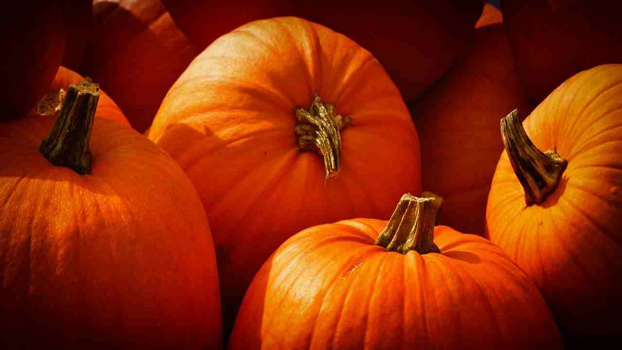 Come Svuotare una zucca facilmente, senza farsi male